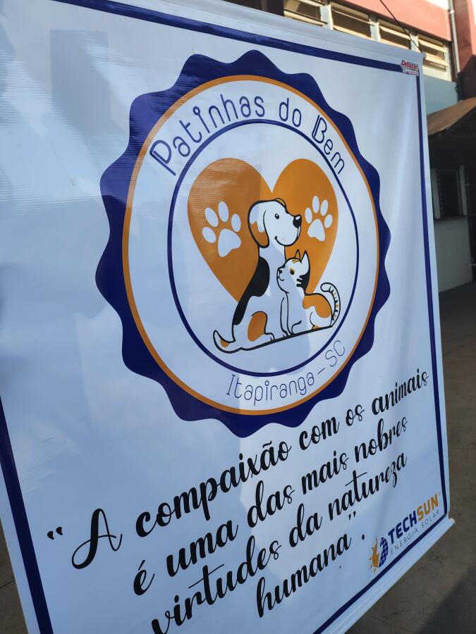 ONG alerta para cuidados com animais domésticos no período de frio