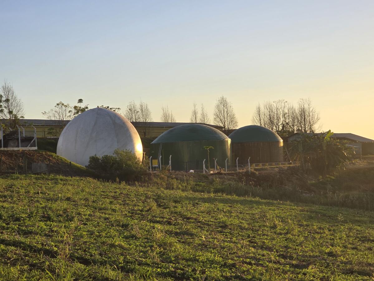 Produtores buscam alternativa após abandonar projeto de biogás em Itapiranga