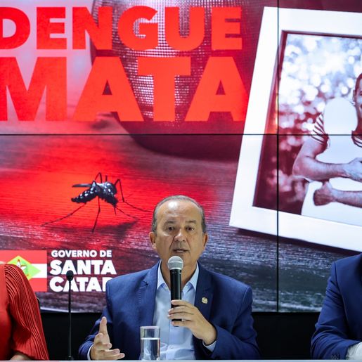 SC anuncia medidas para conter a dengue no verão após explosão de casos e morte