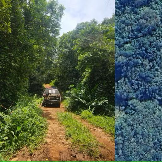 Pai é denunciado por sequestrar e matar filha de 17 anos em SC