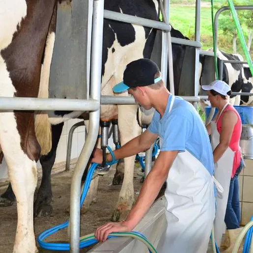 Preço do leite ainda em queda, mas mercado sinaliza possível recuperação em SC