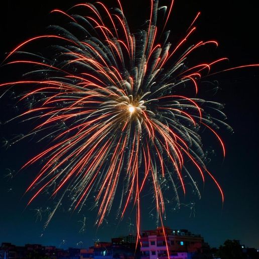 Alesc aprova projeto que proíbe soltura de fogos de artifício com ruídos em SC