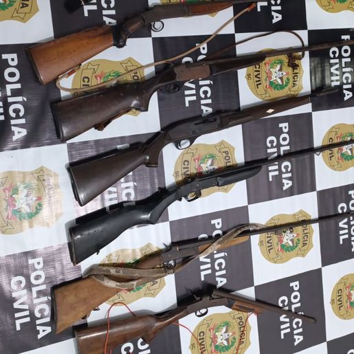 Armas de fogo são apreendidas e homem é preso em flagrante no Oeste