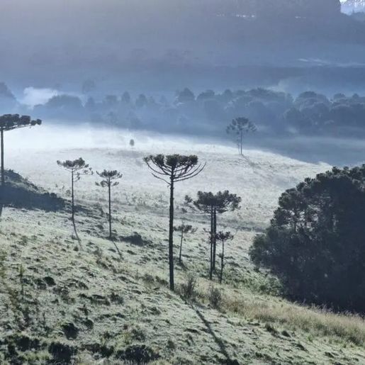 São Joaquim tem segunda geada do ano e termômetros marcam 1,8°C em pleno janeiro