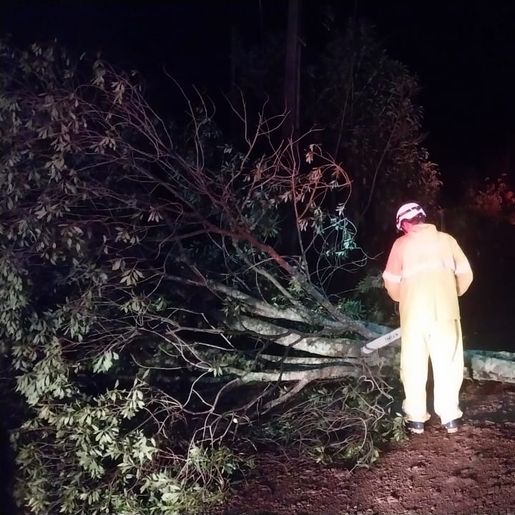 Fortes ventos e chuva causam transtornos no interior de Campo Erê