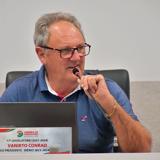 Vereadores pedem ao Dnit limpeza em margens de rodovia e construção de passarelas