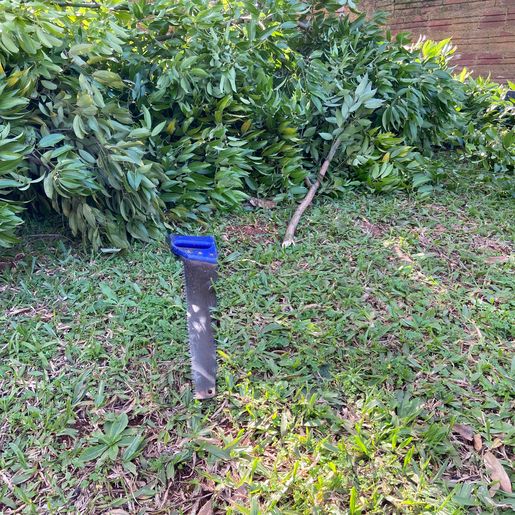 Idoso fica gravemente ferido ao cair de árvore em São Miguel do Oeste