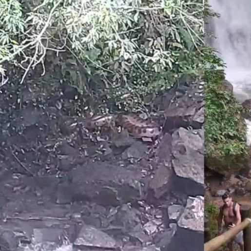 Turistas se assustam com sucuri monstra em cachoeiras