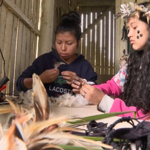 Número de povos e línguas indígenas aumentou no Brasil, mostra IBGE