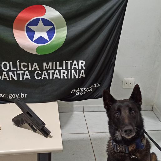 Homem é preso por porte ilegal de arma de fogo em Iporã do Oeste