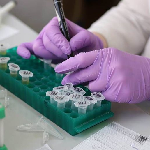 Ministério da Saúde divulga dados detalhados sobre a Covid-19 em crianças