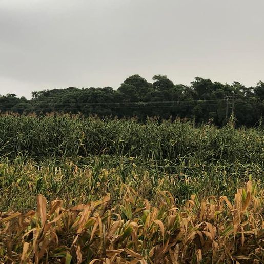 Temporal causa transtornos em municípios do Oeste