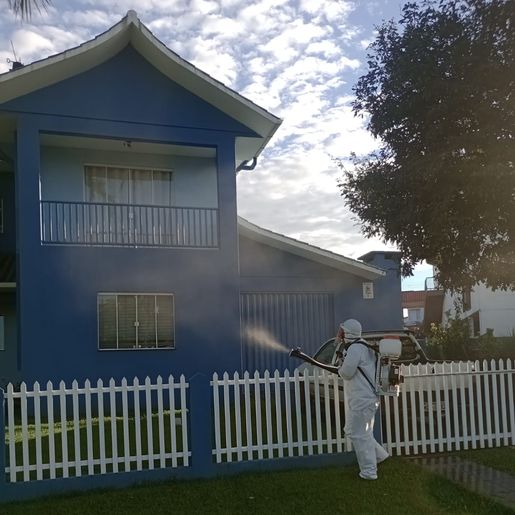 São Miguel do Oeste já soma 451 casos de dengue em 2025