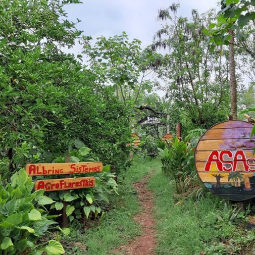 Projeto Agrofloresta Sustentável tem novos desafios