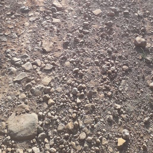 Moradora de SJCedro reivindica transporte escolar para o filho no interior do município