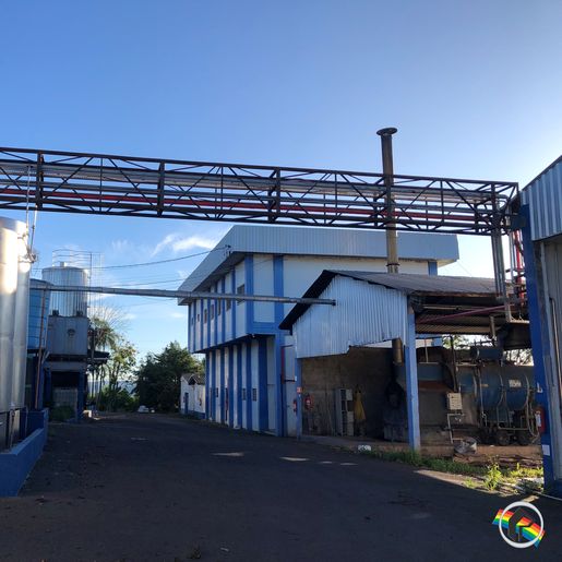 Credores nomeiam novo gestor da Laticínios Santa Catarina; veja como está a fábrica