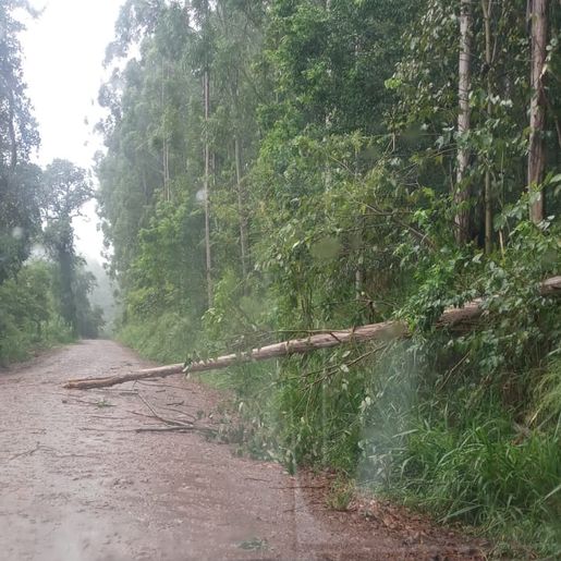 Fortes ventos causam transtornos na região de Iporã do Oeste