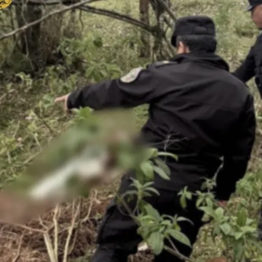 Polícia Civil conclui investigação de latrocínio de idosa natural de SMO