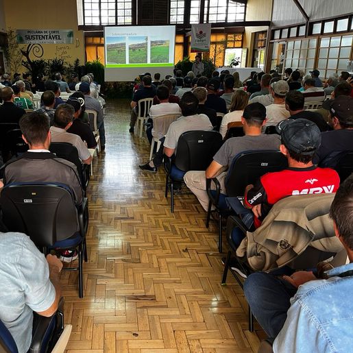 Cerca de 250 pessoas participam do Seminário de Gado de Corte em SMOeste