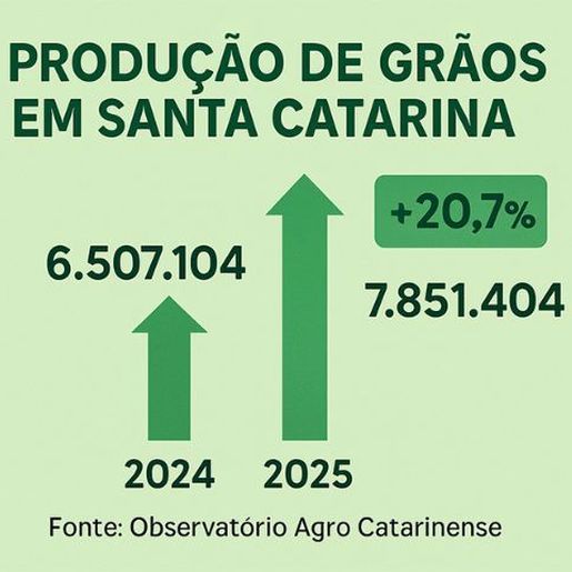 Santa Catarina bate recorde na safra de grãos, mas preços em queda preocupam produtores