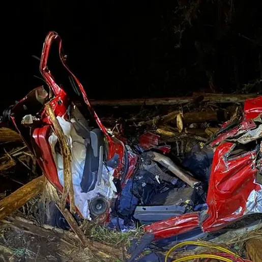 5 morrem após toras de eucalipto caírem de caminhão sobre carros