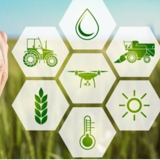 Região possui grande demanda por cursos de capacitação agrícola