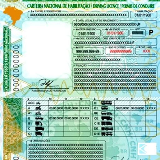 Brasil terá novo modelo de carteira de motorista em 2022
