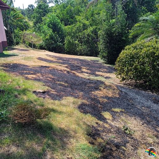 Queima de lixo coloca residência em risco de incêndio