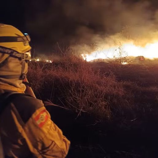 Bombeiros de SC atuam por 10 horas em campo durante 1º dia de ajuda no combate a incêndios no MS