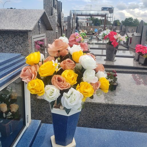 Dia de Finados: Vigilância Sanitária orienta sobre cuidados com vasos de flores