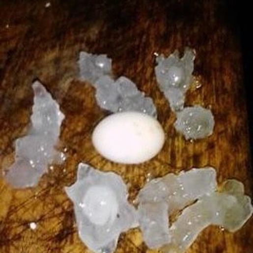 Temporal com granizo atinge municípios da região Extremo Oeste