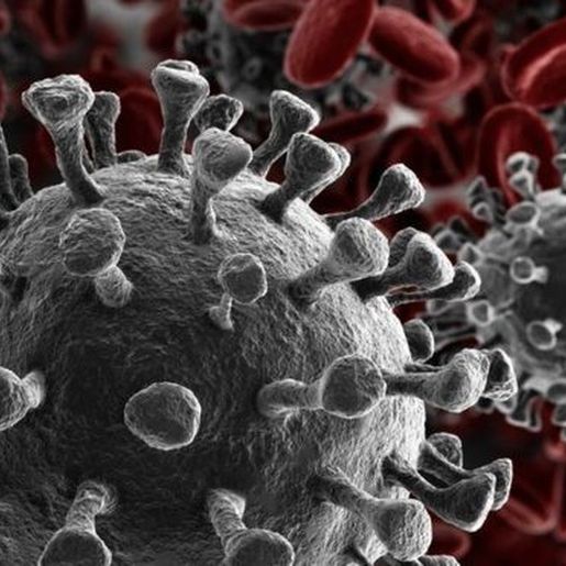 Ameosc cria Comitê de Crise para discutir ações em combate à disseminação do COVID-19