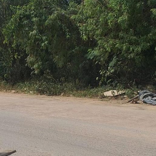 Crânio é encontrado no RS; suspeita é de que seja de mulher sequestrada