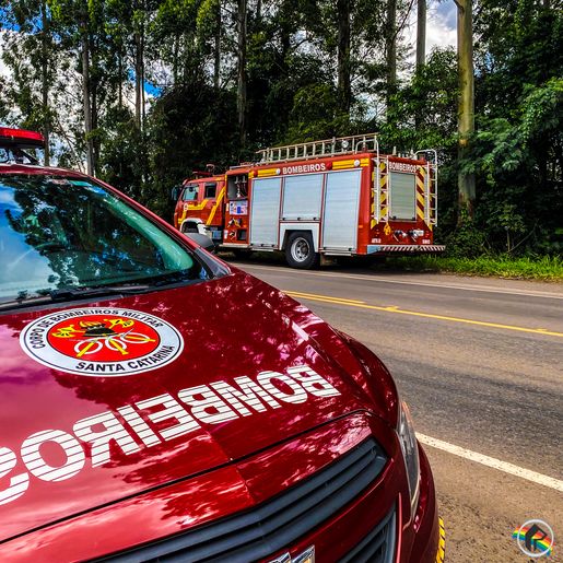 Homem morre ao ser atingido por árvore durante corte de vegetação