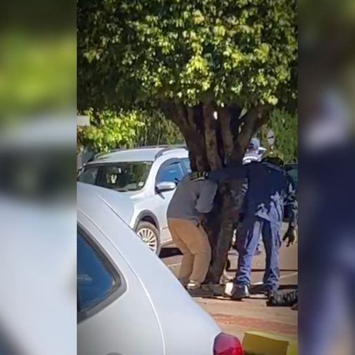VÍDEO: Homem fica com a cabeça presa em árvore no centro de São Miguel do Oeste