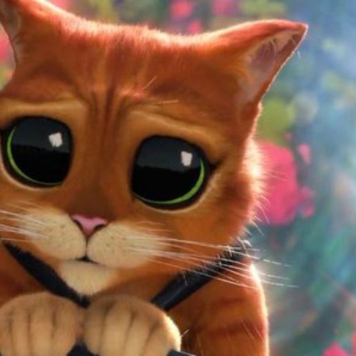 Gato de Botas 2 - O Último Pedido em 3D estreia nesta quinta no Cine Peperi