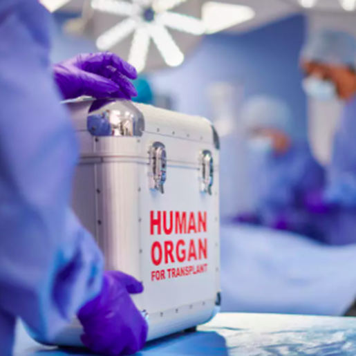 Mais de 1,5 mil aguardam por novos órgãos na fila do transplante em SC