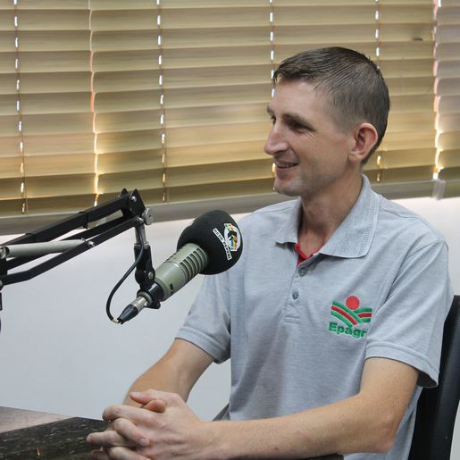 Itapiranga registra crescimento de áreas com cobertura de solo