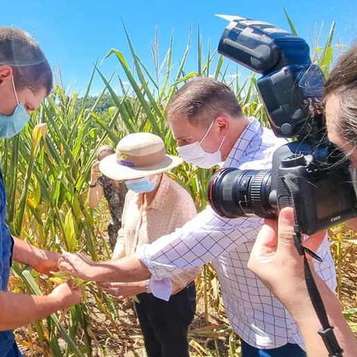 Ministra diz em SC que vai transformar a Conab em agência de inteligência agrícola