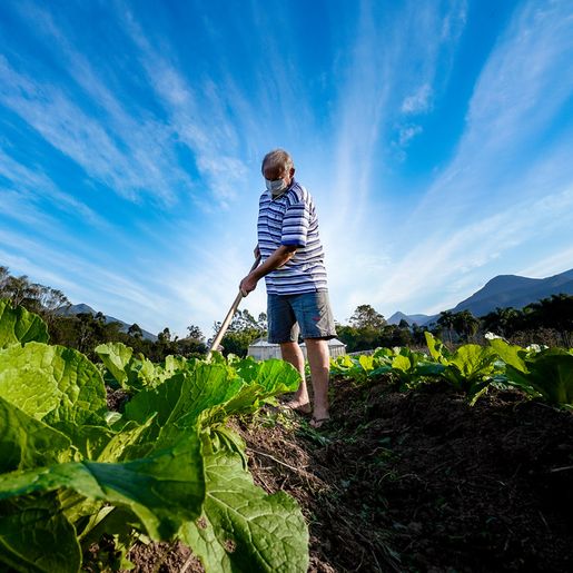 Governo do Estado investe R$ 36,9 milhões em apoio ao setor agropecuário catarinense