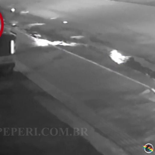 Rapaz pratica atos de vandalismo em empresas da Willy Barth; assista