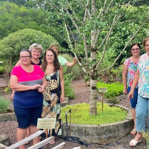 Horto da Vida de Mondaí dispõe mais de 230 espécies de plantas medicinais