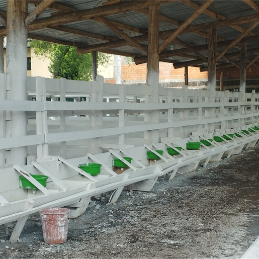 Diversidade de animais será destaque na 9ª Extenoleite, em Santa Helena