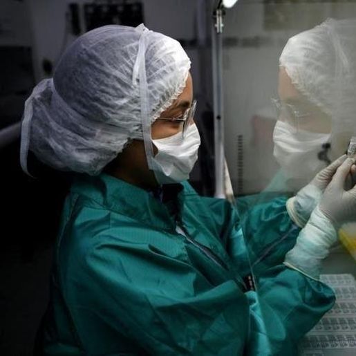 SC tem 5 novas mortes e chega a 11,5 mil casos confirmados de Covid-19