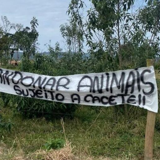 Terreno usado para abandono de animais ganha faixa de alerta em Santa Catarina