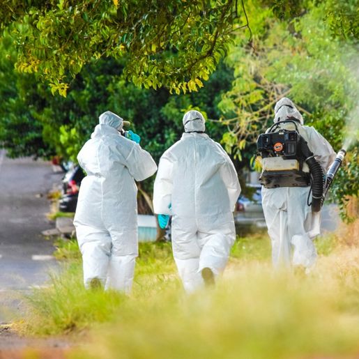 Iporã do Oeste tem cinco casos de dengue confirmados