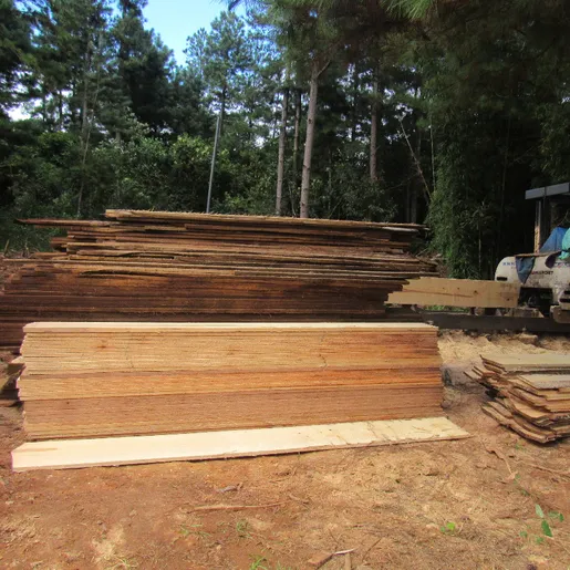 Polícia Militar Ambiental esclarece dúvidas quanto à exploração de madeira exótica e nativa
