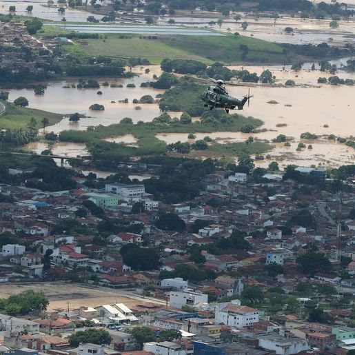 Brasileiro já pode receber alertas de desastres naturais por WhatsApp