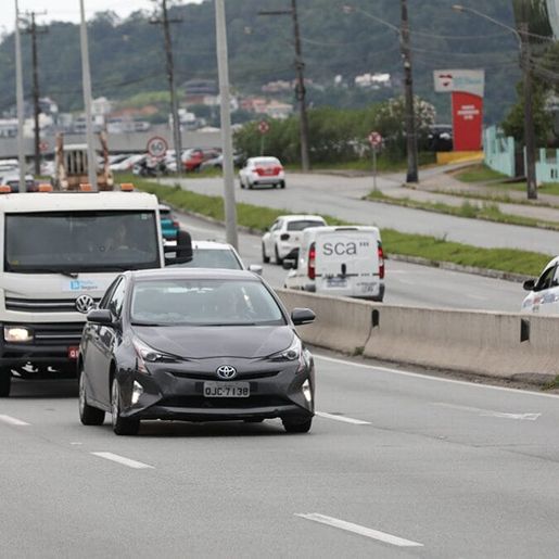 Rodovias federais de Santa Catarina registram 140 atropelamentos em 2025