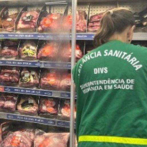 Carnes vencidas, moscas e mofo nos alimentos são encontradas em estabelecimentos de SC